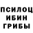 Псилоцибиновые грибы Magic Shrooms Anush Karakhanyan