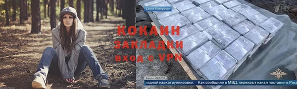 гидра Волоколамск