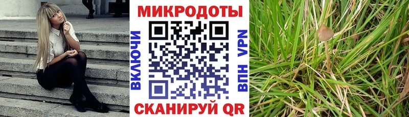 магазин продажи Михайлов Галлюциногенные грибы прущие грибы